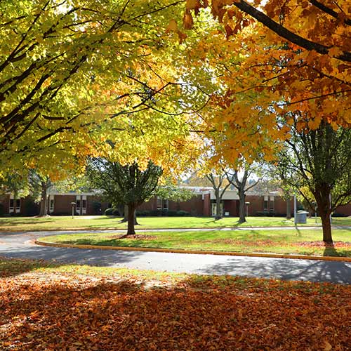 Warsaw Autumn Campus